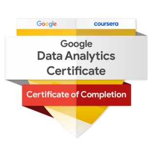 Google Data Analyst